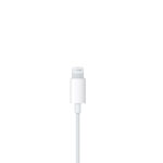 EarPods Lightning Connector