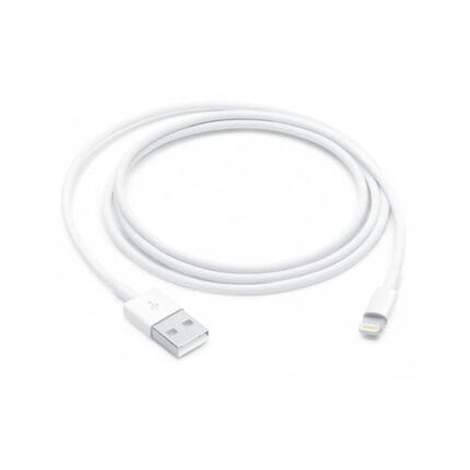 Lightning to USB Cable (1 m)