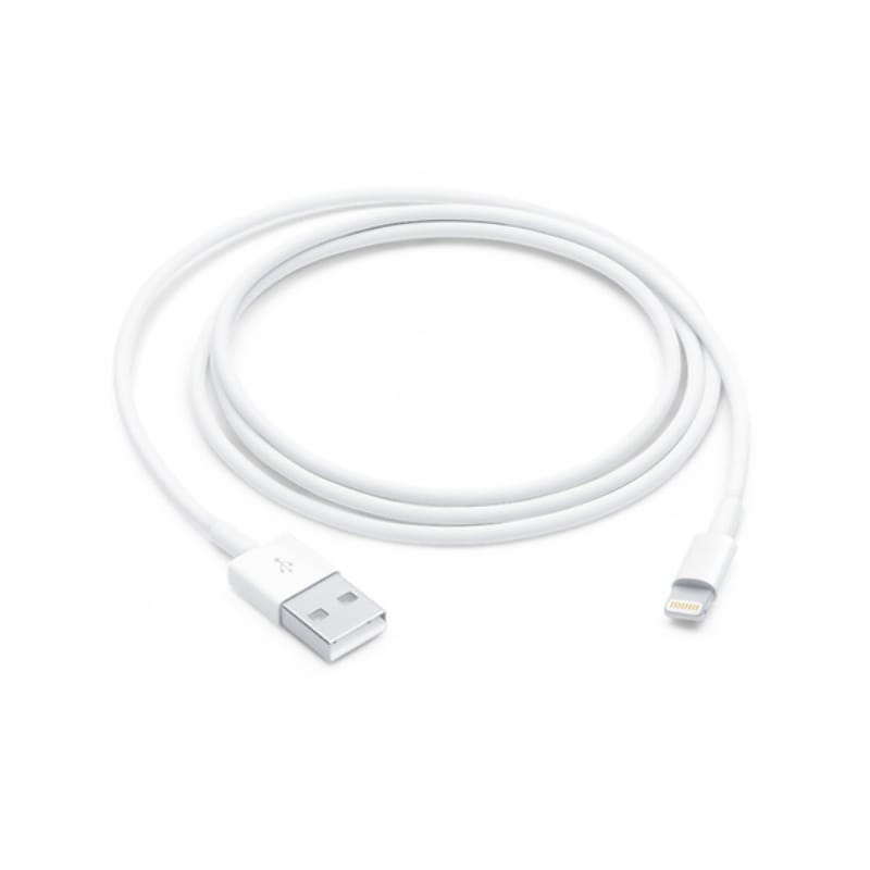Lightning to USB Cable (1 m)