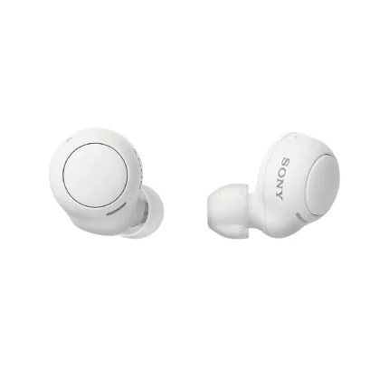Sony WF-C500 True Wireless Earbuds